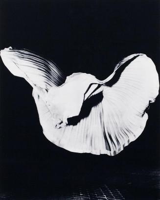 Nadim Vardag, Ohne Titel, 2007, Silbergelatine-Abzug auf Barytpapier, 28 × 22 cm, Belvedere, Wi ...