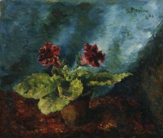 Edmund Pick-Morino, Gloxinienstock, 1920, Öl auf Leinwand, rahmenlos: 51 × 60 cm, Belvedere, Wi ...
