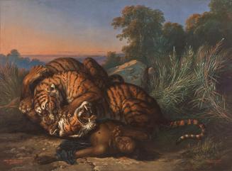 Saleh Ben Jaggia Raden, Kämpfende Tiger, 1870, Öl auf Leinwand, 190 x 261 cm, Belvedere, Wien,  ...