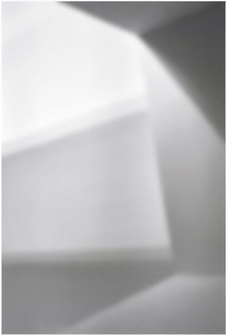Eva Schlegel, Ohne Titel (232), 2016, Druck auf Hahnemühle Papier, 206 × 141 cm, Belvedere, Wie ...