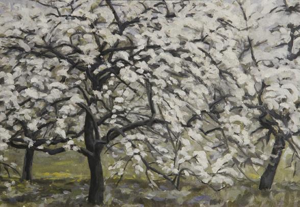 Walther Gamerith, Blühende Obstbäume, 1948, Öl auf Leinwand, 50,5 x 72 cm, Belvedere, Wien, Inv ...