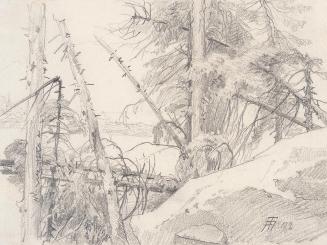 Theodor Alphons, Windbruch im Wald mit Seeblick, 1892, Bleistift auf Papier, 12,8 × 17,2 cm, Be ...