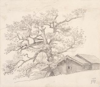 Theodor Alphons, Hütte mit altem Birnbaum, um 1890, Bleistift auf Papier, 11,2 × 12,7 cm, Belve ...