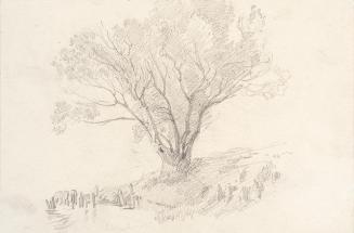 Theodor Alphons, Einsamer Baum am Bach, um 1880/1890, Bleistift auf Papier, 12,8 × 18,7 cm, Bel ...