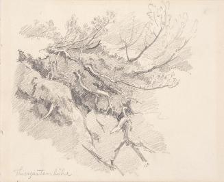 Theodor Alphons, Tiergartenhöhe, um 1891/1892, Bleistift auf Papier, 23 × 14,8 cm, Belvedere, W ...
