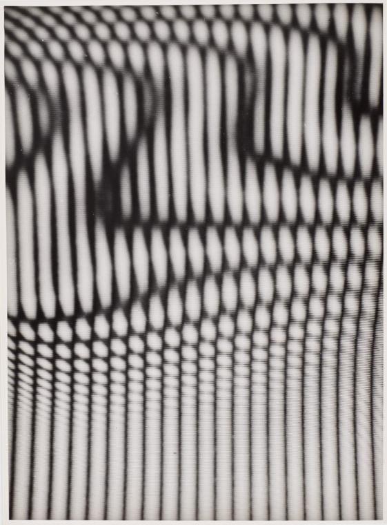 Herbert W. Franke, Fotoexperimente Moirés, 1958, Darstellungsmaße: 23 × 16,9 cm, 2019 Schenkung ...
