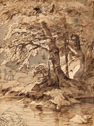 Friedrich August Mathias Gauermann, Baumstudie, undatiert, Sepia auf Papier, 34,5 × 26 cm, Sche ...