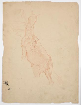 Franz von Matsch, Studien eines aufsteigenden Pferdes, um 1898/1901, Rötel und Bleistift, 40 x  ...