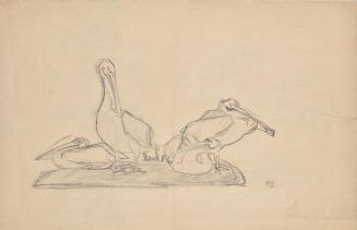 Franz Barwig, Entwurf zu einer Pelikangruppe, um 1905/1906, Schwarze Kreide aus Papier, 30,4 ×  ...