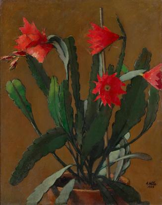 Anton Hula, Stillleben mit blühendem Kaktus, 1929, Öl auf Leinwand, 79 x 63 cm, Belvedere, Wien ...