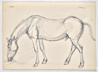 Georg Ehrlich, Grasendes Pferd, um 1960, Kugelschreiber auf Papier, Blattmaße: 21 × 29,5 cm, Be ...