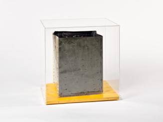 Gerhard Kaiser, Pot, 1993, Kunststoff (PVC Folie), Lack auf Holz (Doka Platte) Plexiglashaube,  ...