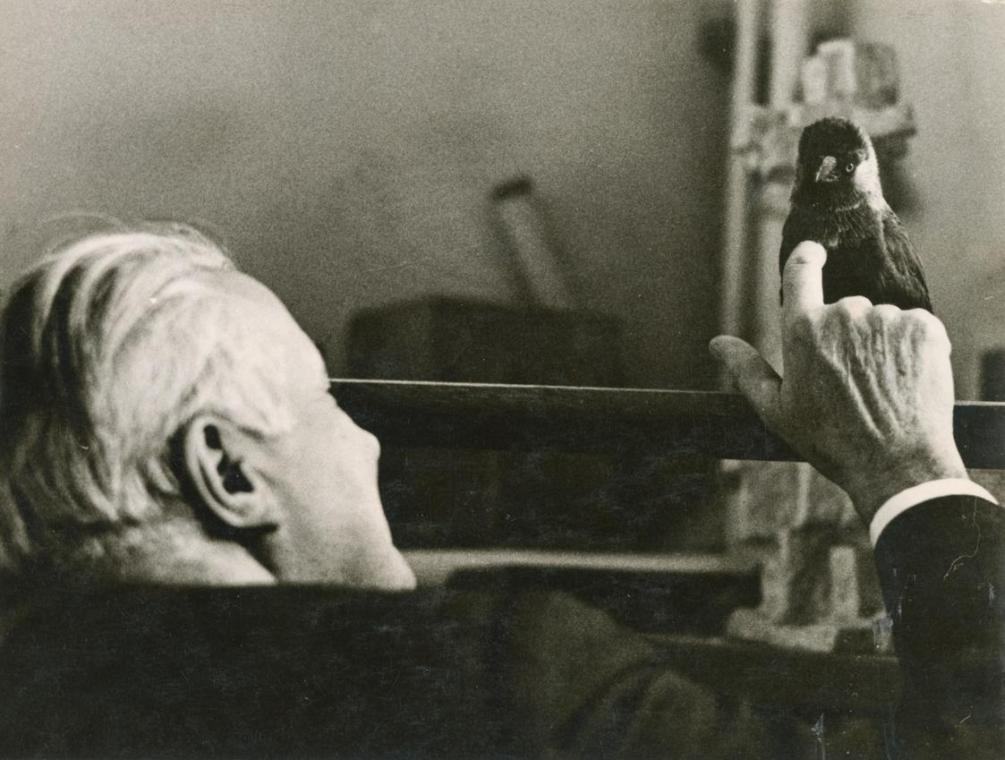 Fritz Wotruba mit seiner Dohle Hansi in seinem Atelier in der Böcklinstraße in Wien