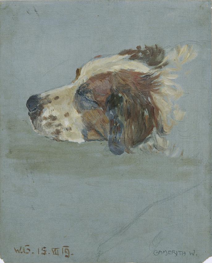 Walther Gamerith, Hundekopf, 1919, Öl auf Pappe, 33 x 26,8 cm, Belvedere, Wien, Inv.-Nr. 7015