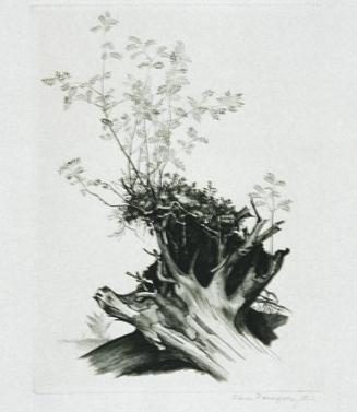 Hans Ranzoni d. J., Windbruch, 1960, Kupferstich, 24 x 18 cm, Belvedere, Wien, Inv.-Nr. 8133