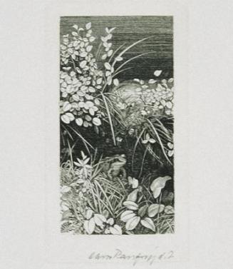 Hans Ranzoni, Frosch in der Höhle, 1982, Kupferstich auf Papier, 11,2 × 6,3 cm, Belvedere, Wien ...