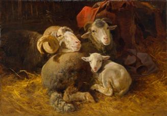 Anton Schrödl, Schafe im Stall, Öl auf Leinwand, 77 x 110 cm, Belvedere, Wien, Inv.-Nr. 3737