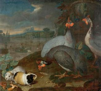 Philipp Ferdinand de Hamilton, Perlhühner mit Meerschweinchen, um 1725, Öl auf Leinwand, 75 x 8 ...