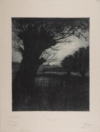 Viktor Böhm, Am Weiher, 1904, Radierung, 25 x 30 cm, Belvedere, Wien, Inv.-Nr. 609