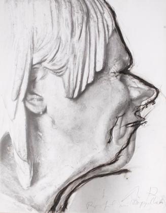 Arnulf Rainer, Profil mit Doppelhals, 1975-1976, Fotografie überzeichnet, 60,6 x 47,3 cm, Belve ...