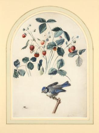 Ferdinand Georg Waldmüller, Erdbeeren und Blaumeise, um 1810, Aquarell auf Papier, 34 × 25 cm,  ...