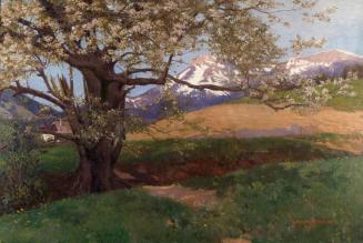 Karl Maria Schuster, Blühender Kirschbaum, um 1905/1906, Öl auf Leinwand, 80,5 x 120 cm, Belved ...