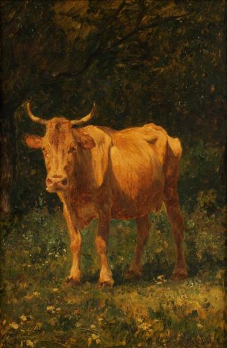 Carl Rudolf Huber, Semmelfarbene Kuh, 1898, Öl auf Mahagoni, 54,5 x 36,5 cm, Belvedere, Wien, I ...