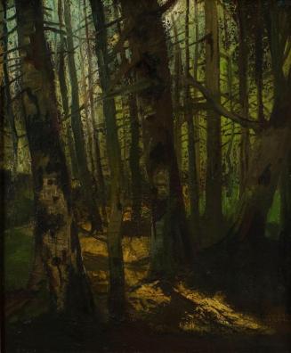 Anton Müller-Wischin, Waldlichtung, undatiert, Öl auf Leinwand, 55,5 x 46,5 cm, Belvedere, Wien ...