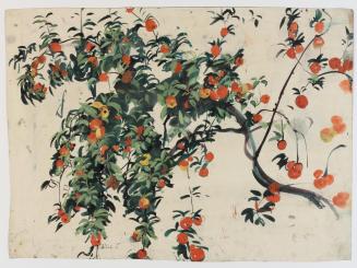 Ernestine Rotter-Peters, Apfelbaumzweig, 1930–1940, Tempera auf Papier, 28,6 x 38,4 cm, Belvede ...