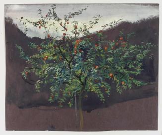 Ernestine Rotter-Peters, Apfelbaum, 1930–1940, Tempera auf Papier, 27,6 x 33,8 cm, Belvedere, W ...