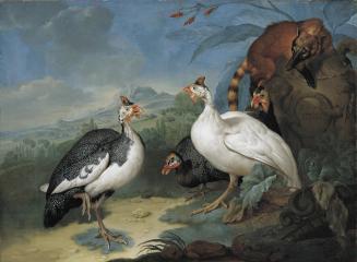 Philipp Ferdinand de Hamilton, Perlhühner und Nasenbär (Ehemals Supraporte im Tafelzimmer des O ...