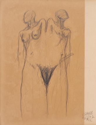 Herbert Brandl, Akt, 1977, Bleistift auf Papier, Blattmaße: 39,4 × 30,4 cm, Belvedere, Wien, In ...