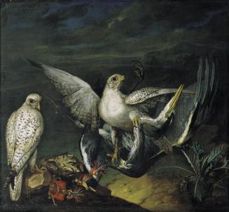 Philipp Ferdinand de Hamilton, Weiße Jagdfalken mit einem Fischreiher, 1748, Öl auf Leinwand, 9 ...