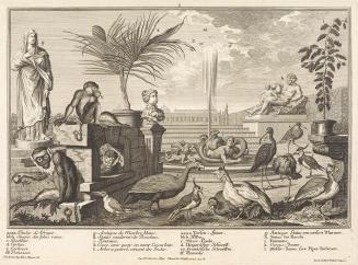 Salomon Kleiner, Affen, Hühnervögel und Regenpfeifer, 1734, Radierung, Druck in Schwarz auf Pap ...