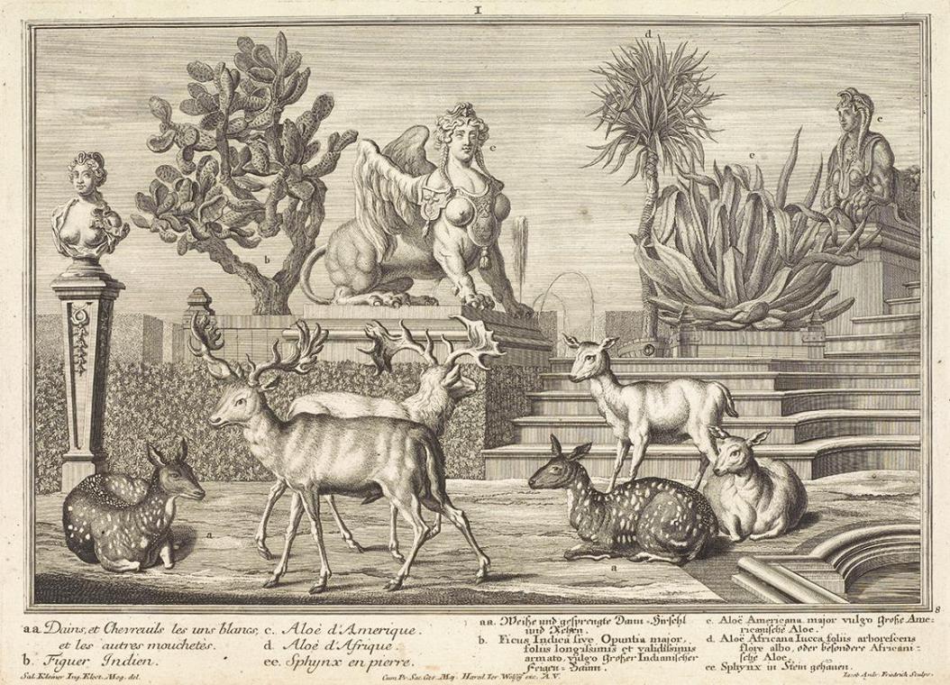 Salomon Kleiner, Damwild, 1734, Radierung, Druck in Schwarz auf Papier, Dauerleihgabe aus Priva ...