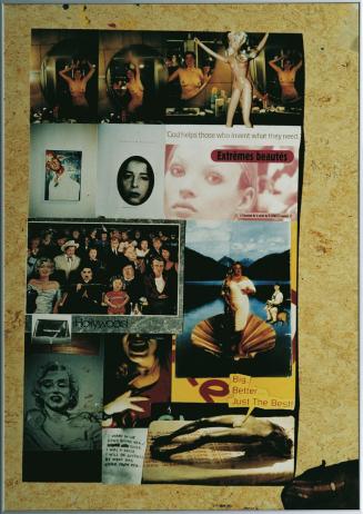 Elke Silvia Krystufek, Daydreams Series 11, 1996, S/W- und Farbfotografien, Kunststoff, 100 x 7 ...