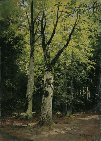Leopold Rothaug, Buchenwald, Öl auf Karton, 39 x 28 cm, Belvedere, Wien, Inv.-Nr. 5085