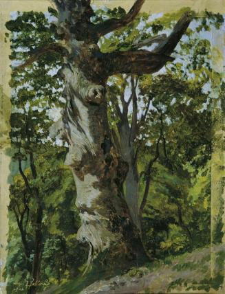 Leopold Rothaug, Buche im Sparbacher Tiergarten, 1926, Öl auf Karton, 27 x 21 cm, Belvedere, Wi ...