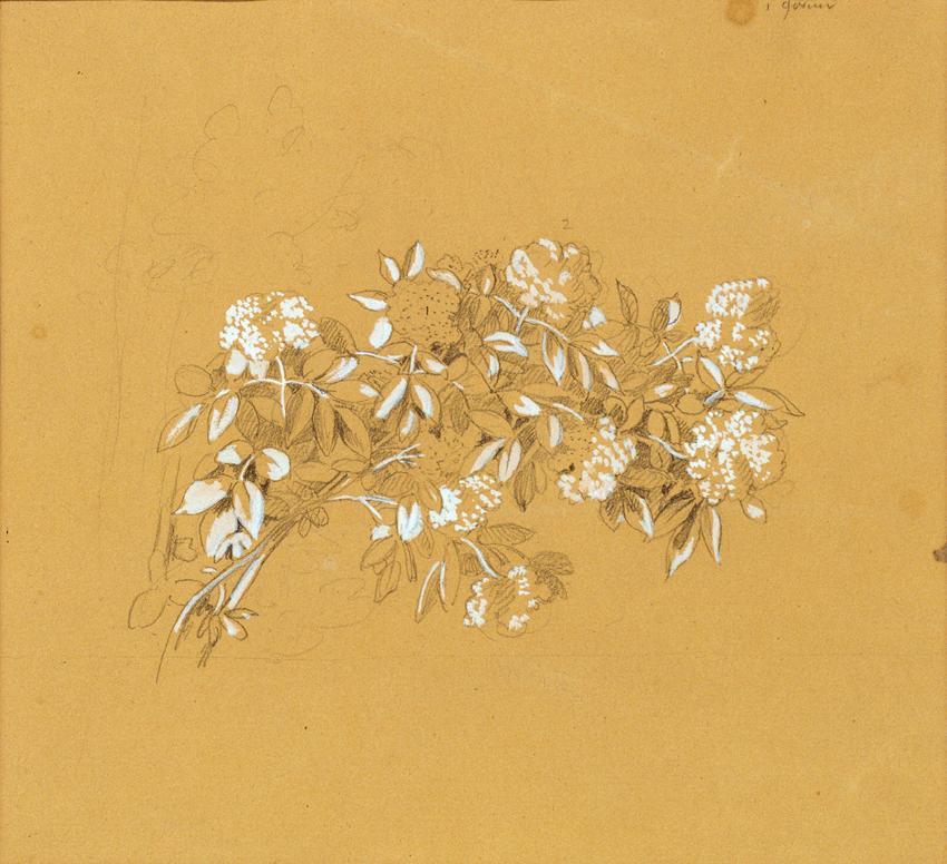 Johann Peter Krafft, Blumenbouquet, Bleistift, weiß gehöht, auf Papier, 19,5 × 21,5 cm, Belvede ...