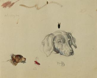 Johann Peter Krafft, Hundestudie, Aquarell, Bleistift auf Papier, 18,3 x 23 cm, Belvedere, Wien ...