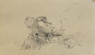 Johann Peter Krafft, Wurzelwerk, umgestürzter Baum, Bleistift auf Papier, 12 x 20 cm, Belvedere ...