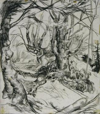 Arthur Brusenbauch, Alte Buchen, 1924, Kohle auf Papier, 51 x 41,5 cm, Belvedere, Wien, Inv.-Nr ...