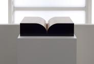 Richard Artschwager, Book, 1987, Holz, furniert, 13,5 × 30 × 51 cm, Dauerleihgabe Ernst Ploil,  ...