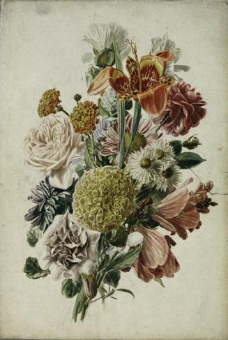 Leopold von Stoll, Blumenstrauß mit Tagetes und Lilie, um 1800/1820, Aquarell auf Papier, 49,5  ...