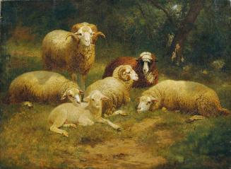 Johann Baptist Hofner, Schafe, undatiert, Öl auf Leinwand, 66 x 90 cm, Belvedere, Wien, Inv.-Nr ...