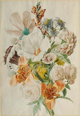 Leopold von Stoll, Blumenstrauß mit Hibiscus und Lilien, um 1800/1820, Aquarell auf Papier, 49, ...